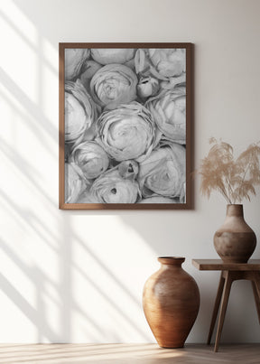 Gray ranunculus Poster