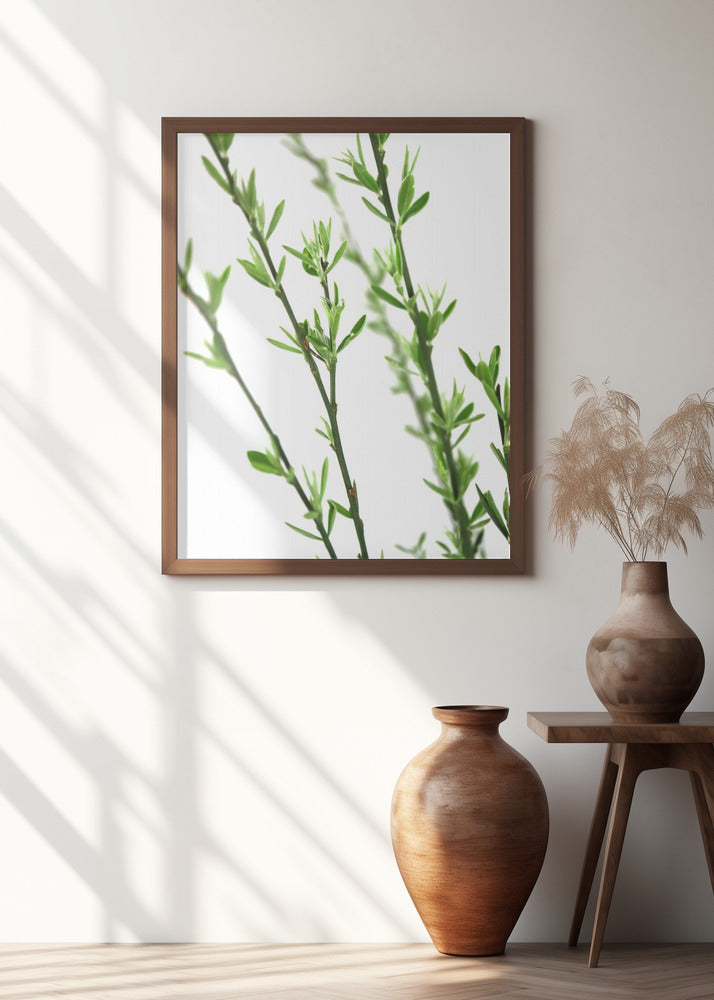 Green dainty branch Poster