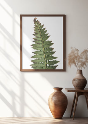 Green fern Poster