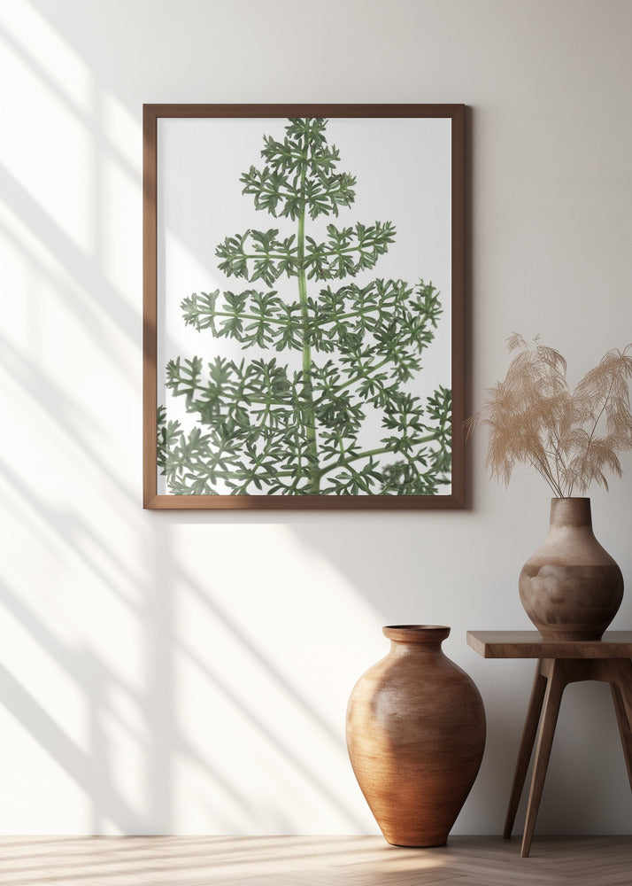 Green dainty leaves Poster