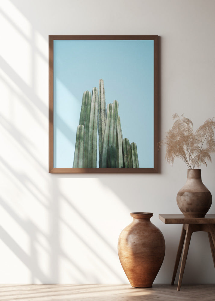 Cacti Poster