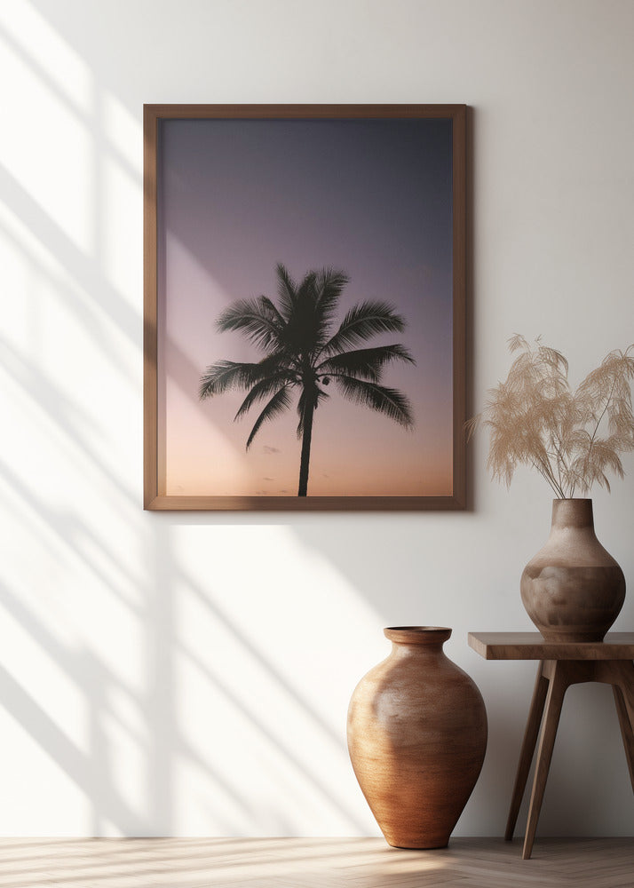 Costa Rica Palm Tree Poster