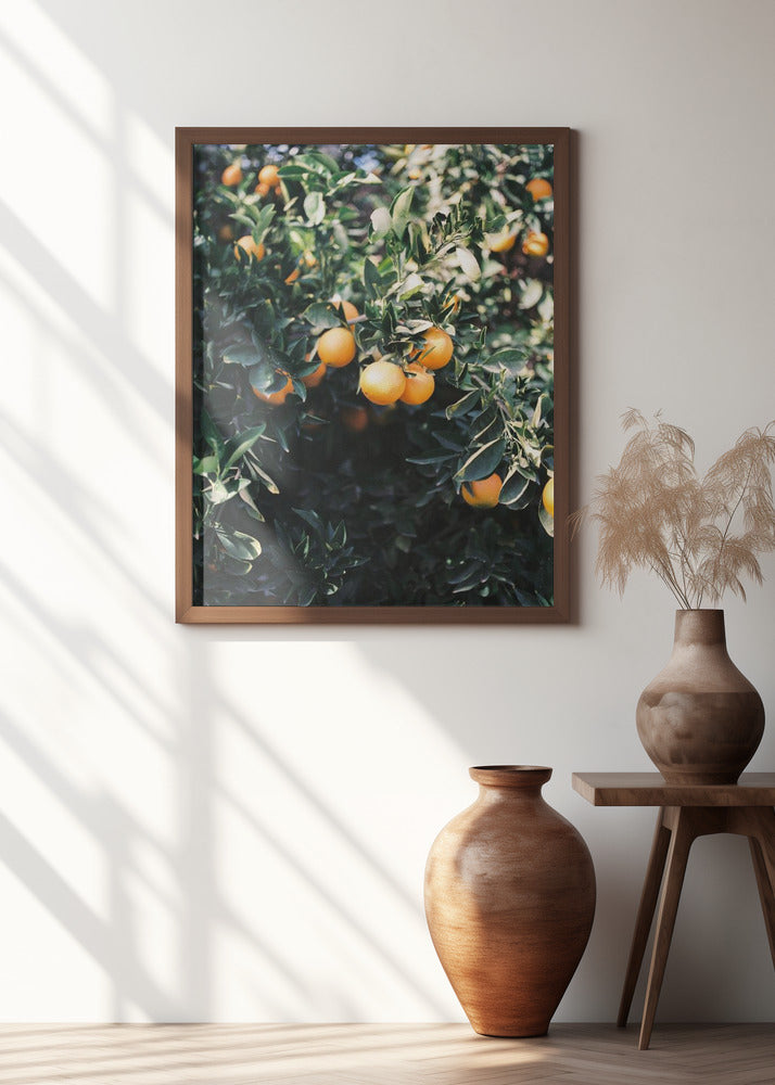 Marrakesh Oranges Poster