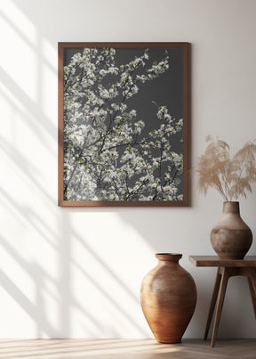 Spring branches Poster