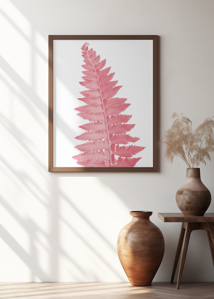 Pink fern leaf Poster