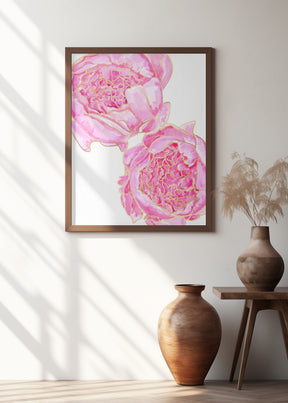 Sally's peonies Poster