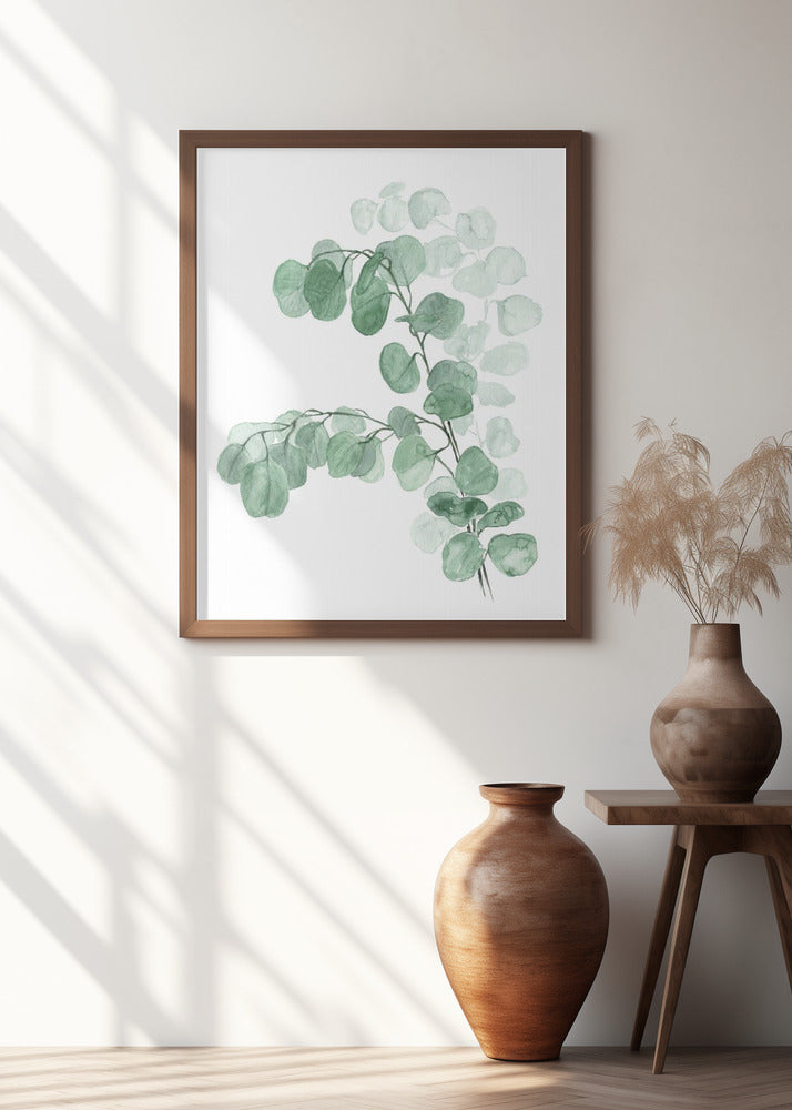 Watercolor silver dollar eucalyptus Poster