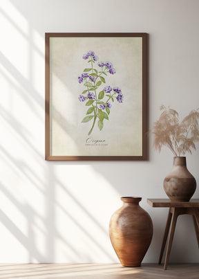 Oregano vintage Poster