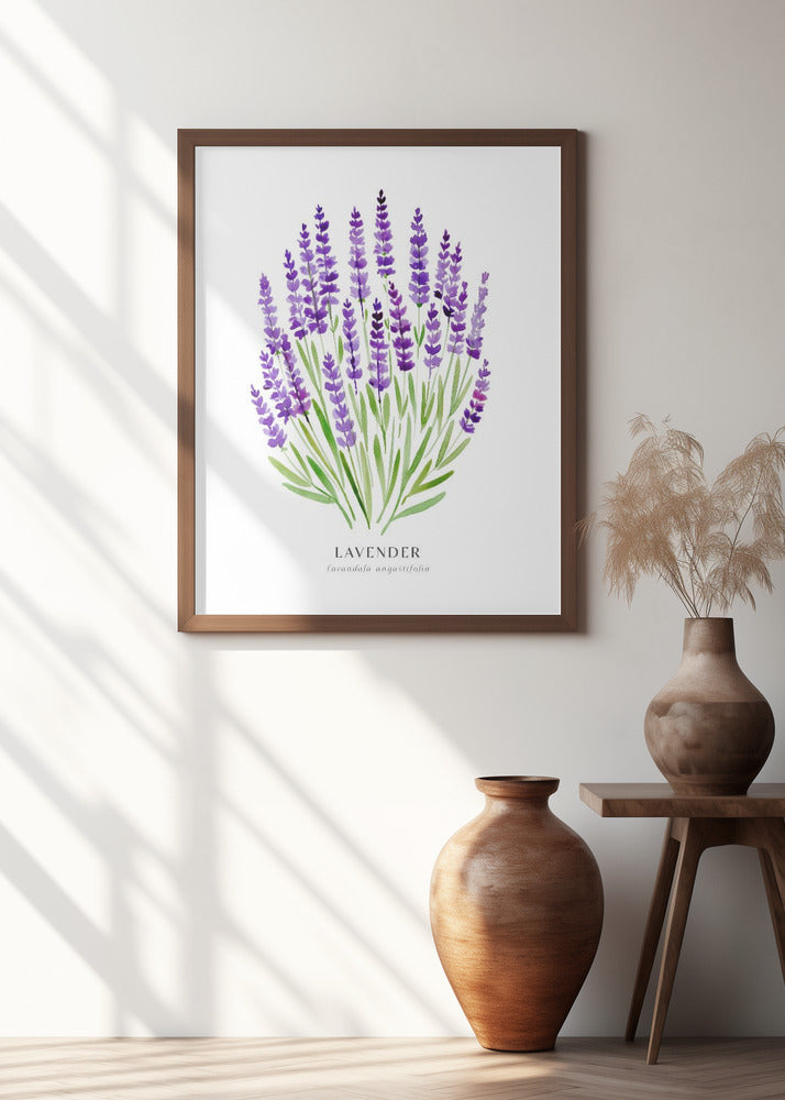 Lavender I Poster