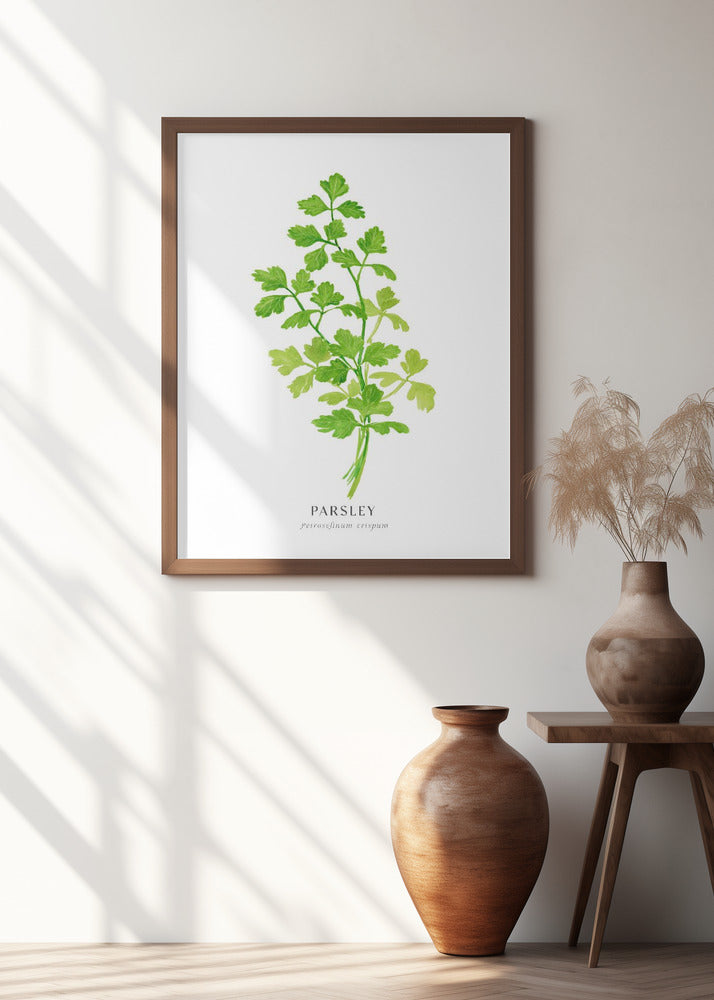 Parsley I Poster