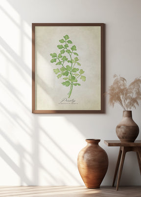 Parsley vintage Poster