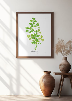 Parsley II Poster