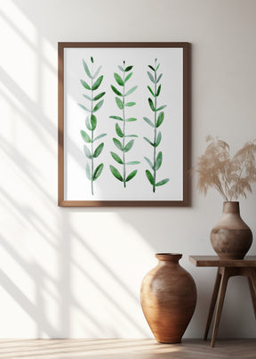 Watercolor eucalyptus parvifolia Poster