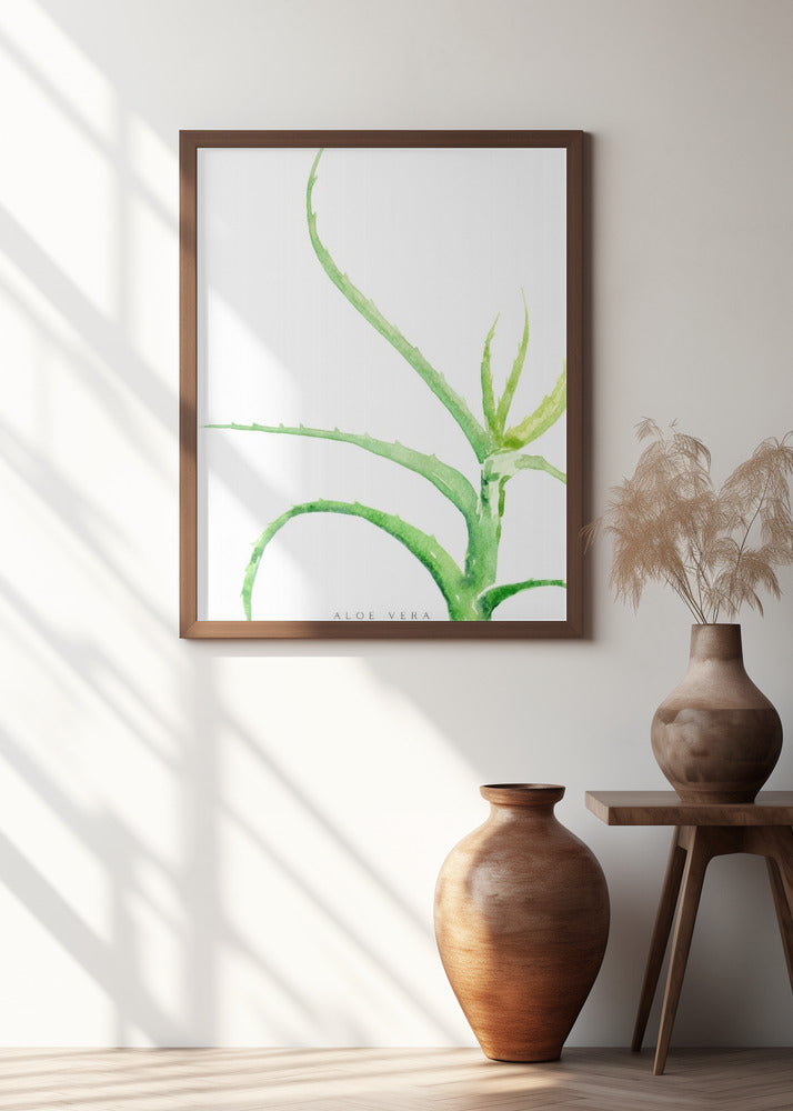 Watercolor aloe vera Poster