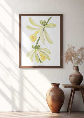 Watercolor vanilla orchid Poster