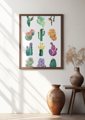 Collection of cacti Poster