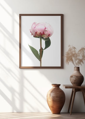 Pink peony II Poster