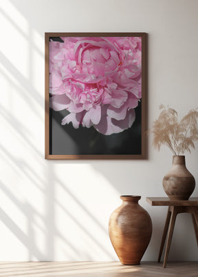 Pink peony V Poster