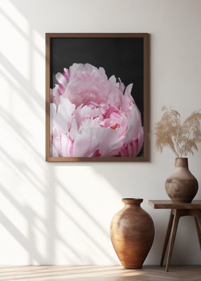 Pink peony VIII Poster