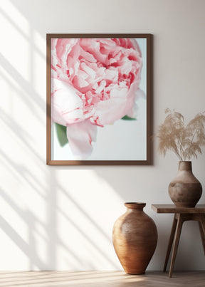 Blush peony VII Poster