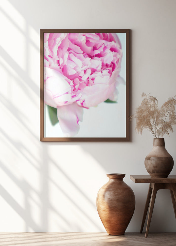 Pink peony VII Poster