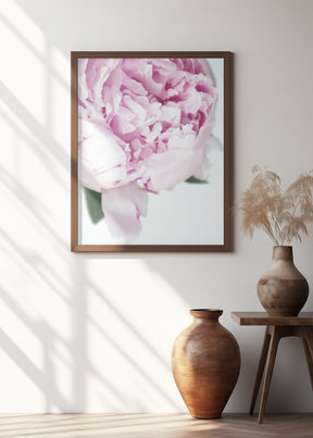 Subdued peony VII Poster