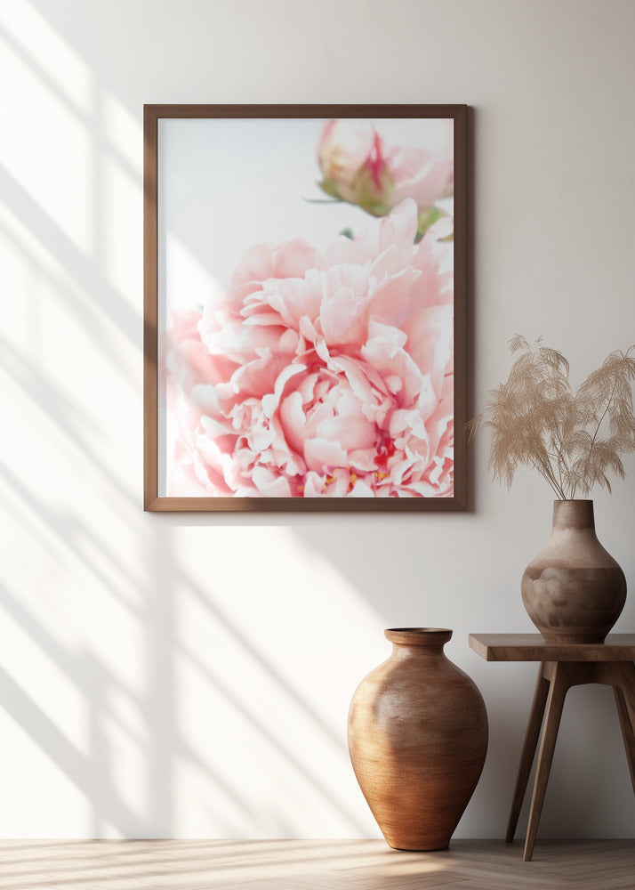 Blush peony IX Poster