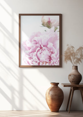 Subdued peony IX Poster