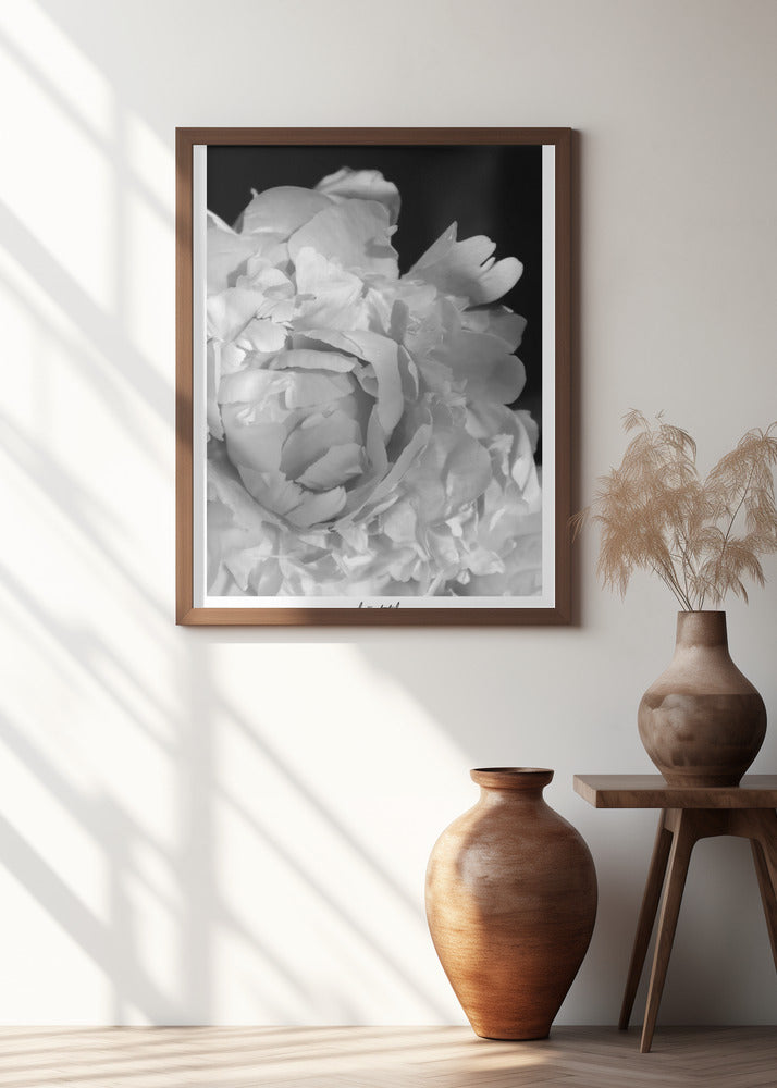 Enjoy the little things peony BW Poster