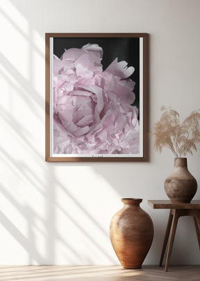 Enjoy the little things peony Poster