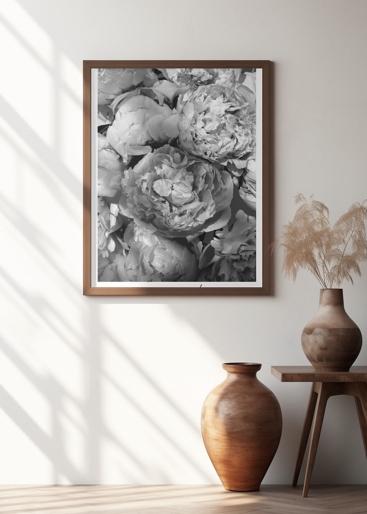 Life blooms everyday peonies bw Poster