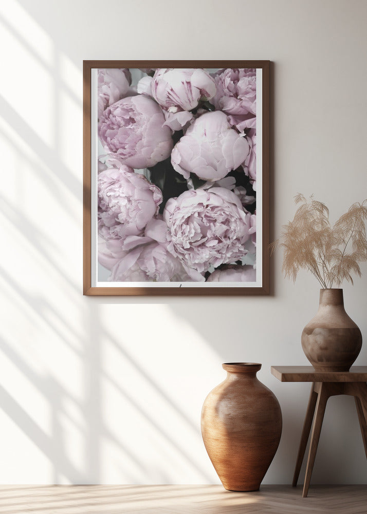 Smile and dream peonies Poster