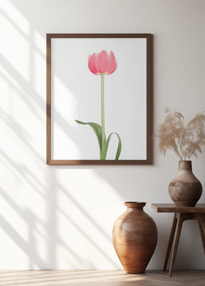 Pink tulip Poster