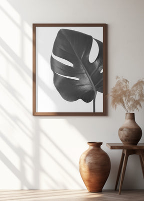 Gray monstera leaf Poster