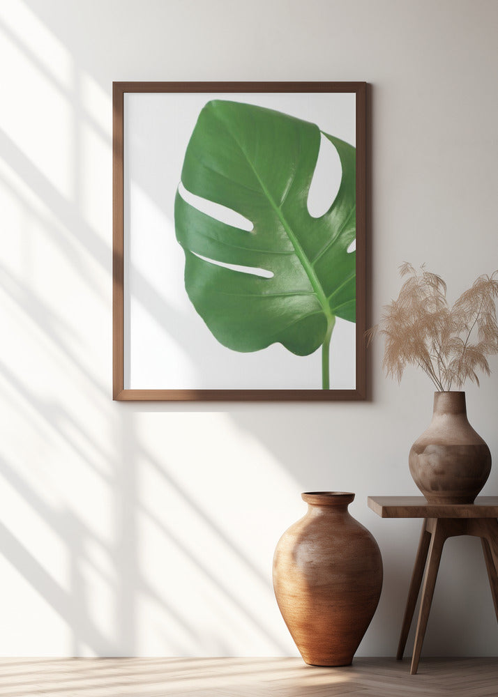 Bright green monstera leaf Poster