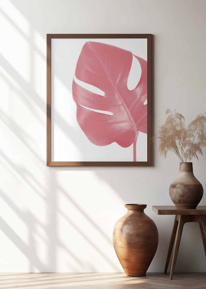 Pink monstera leaf Poster