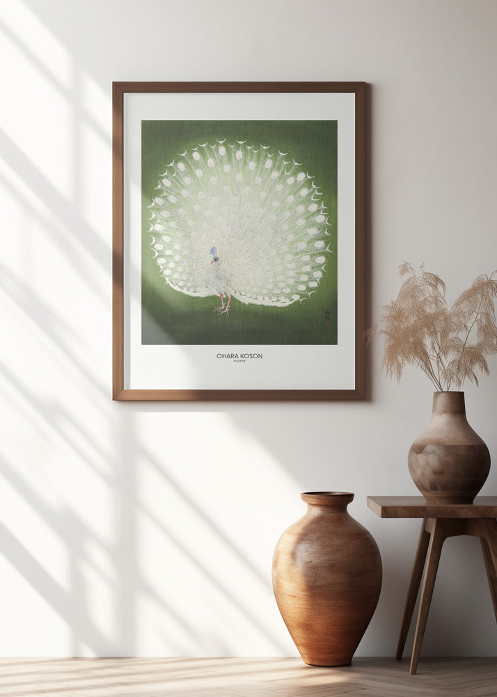 Peacock - Wide Poster