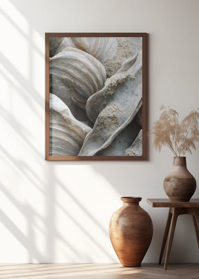 Sea Shells Detail No 1 Poster