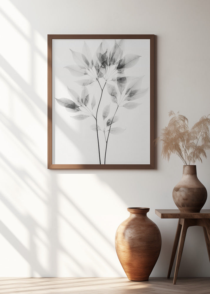 Transparent Botanic No 8 Poster