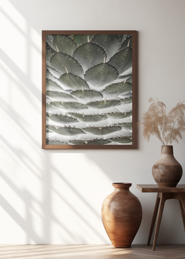 Agave Layers Poster