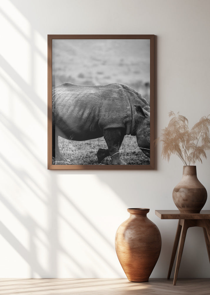 Black Rhino Poster