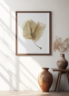 Bougainvillea Study No3 Poster