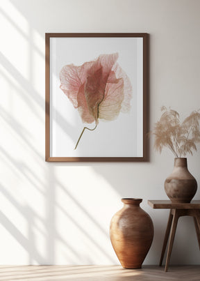 Bougainvillea Study No4 Poster