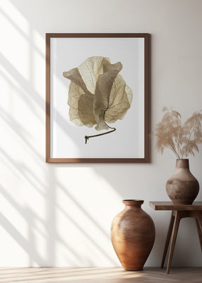 Bougainvillea Study No5 Poster