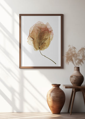 Bougainvillea Study No6 Poster