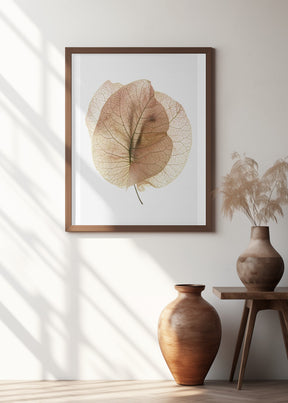 Bougainvillea Study No7 Poster