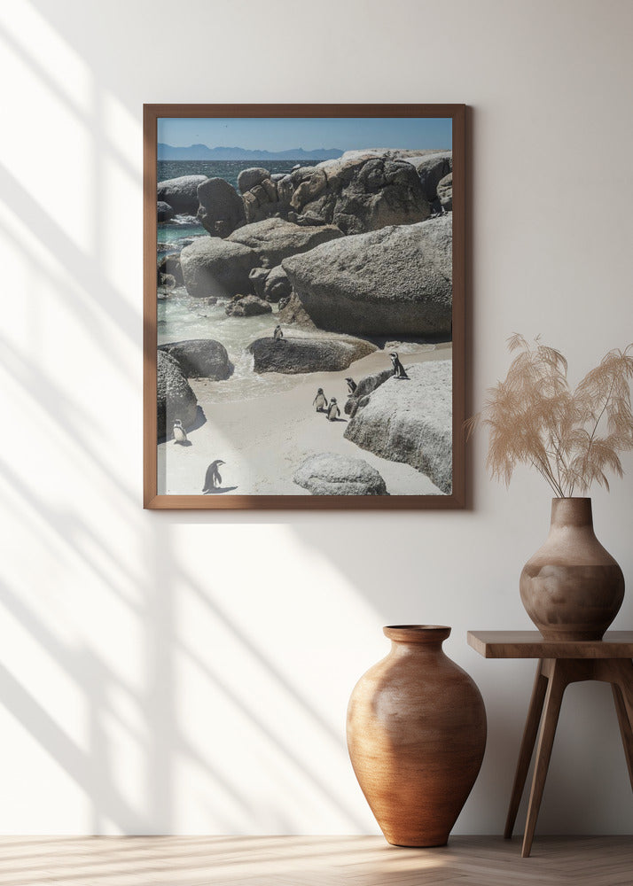 Boulders Beach Poster