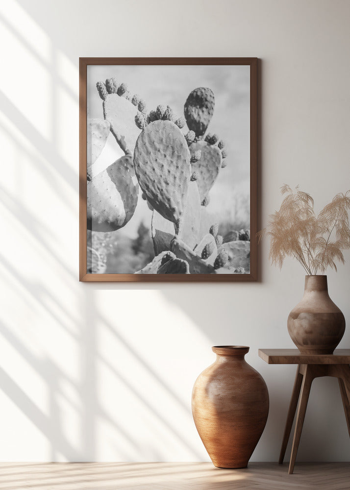 Cacti Cowboy No1 Poster