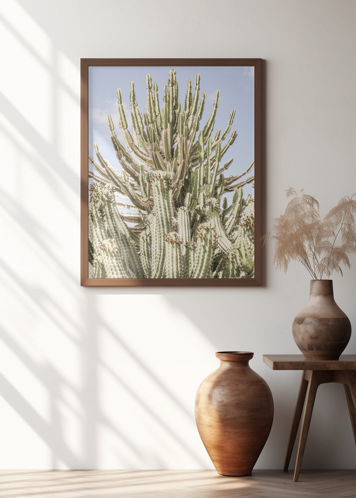 Catus Forest Poster