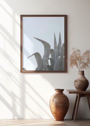 Charming Agave Poster